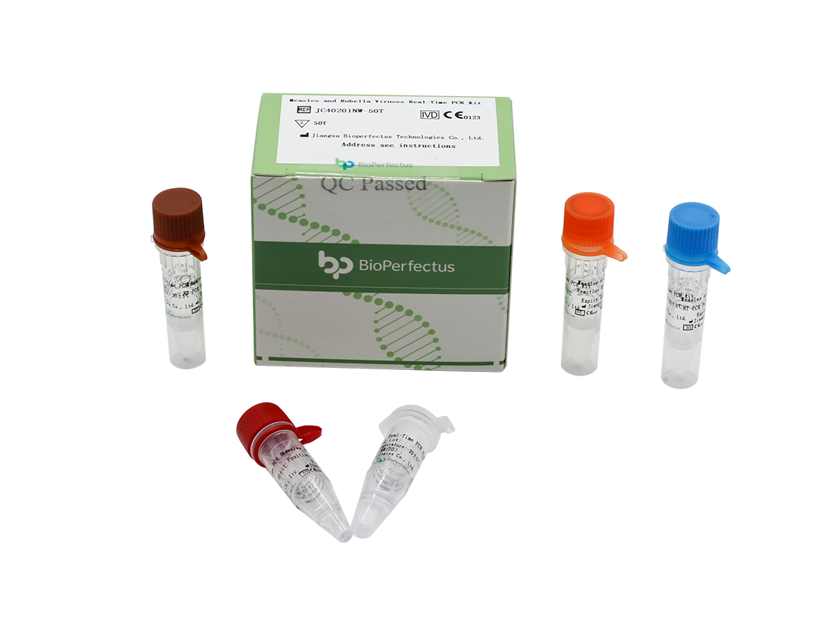 Rubella virus RT PCR kit