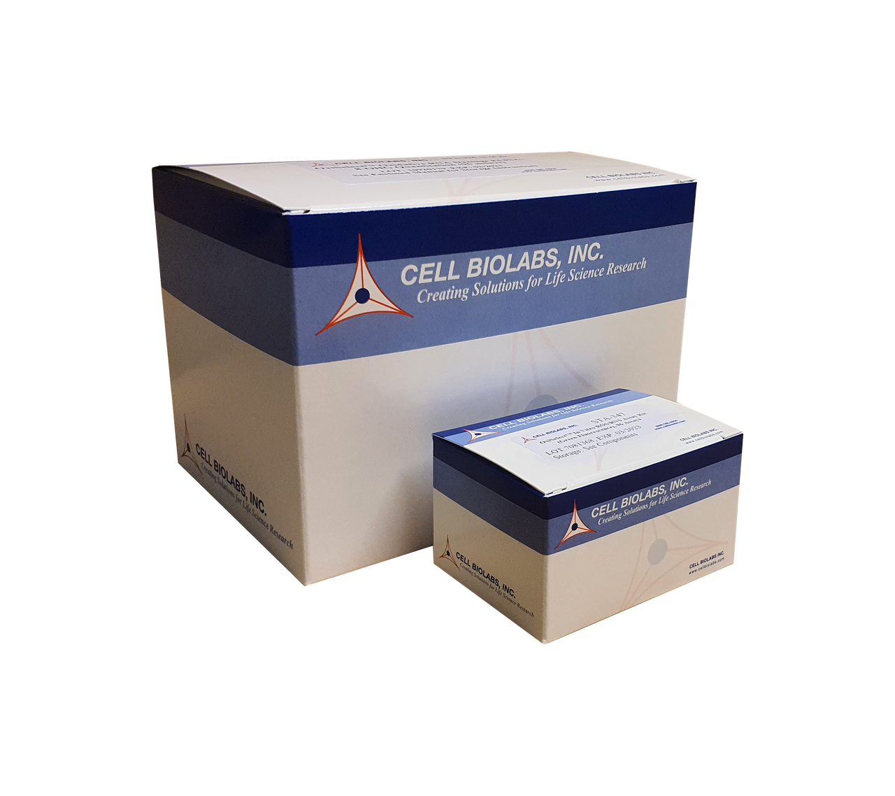 OxiSelect™ Comet Assay Slides (3-Well)