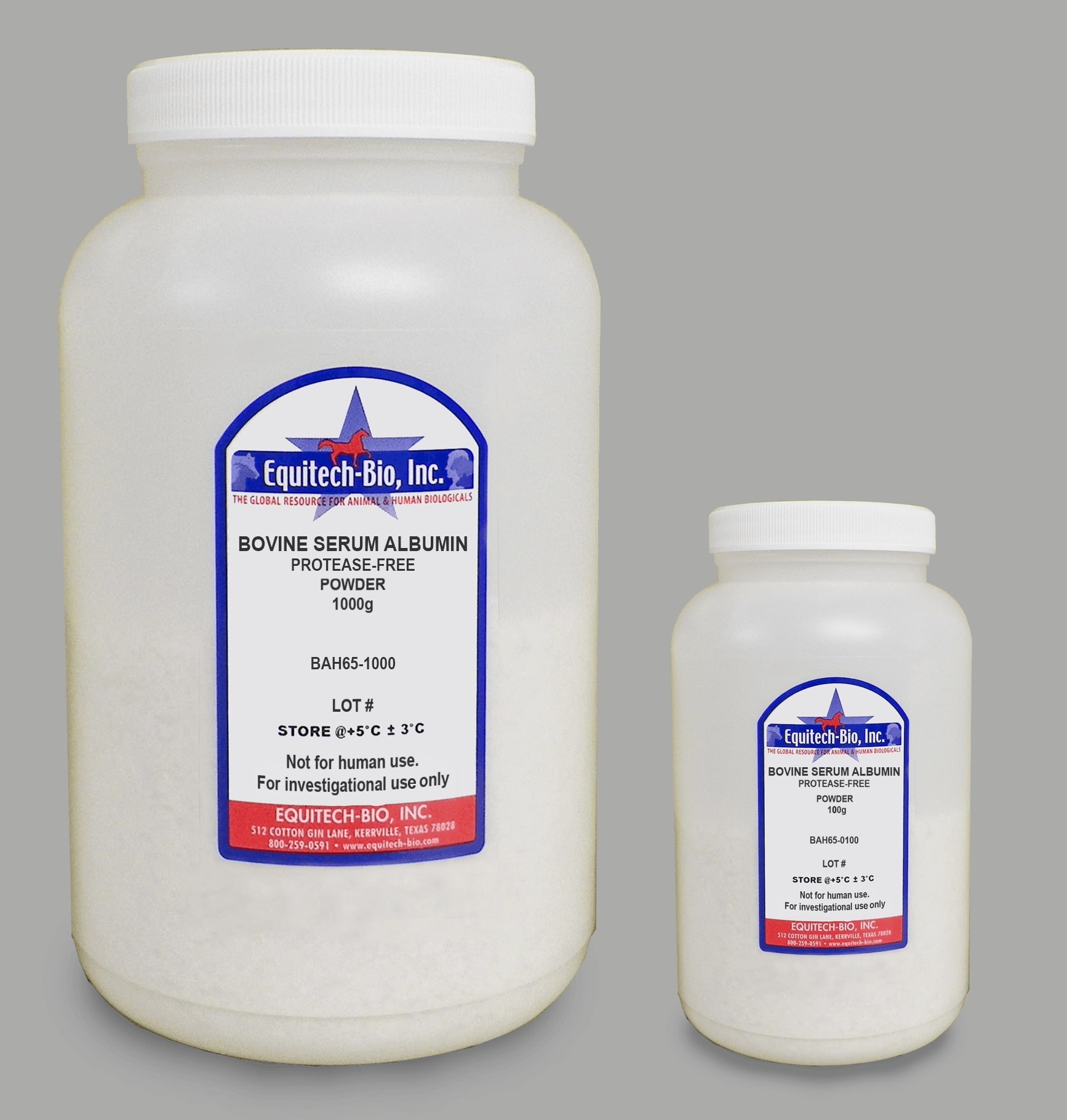 Protease free heat shock BSA powder