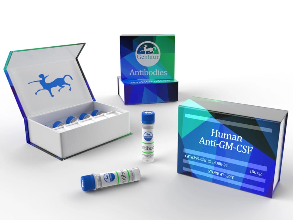 tDenHyb-2 (For tissue FISH with unique sequence probes)