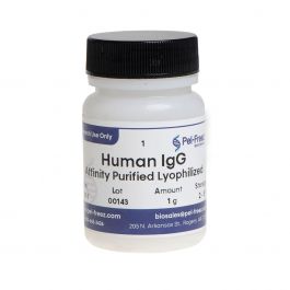 34031-1 HU IgG Affinity Pure Lyoph (1g)